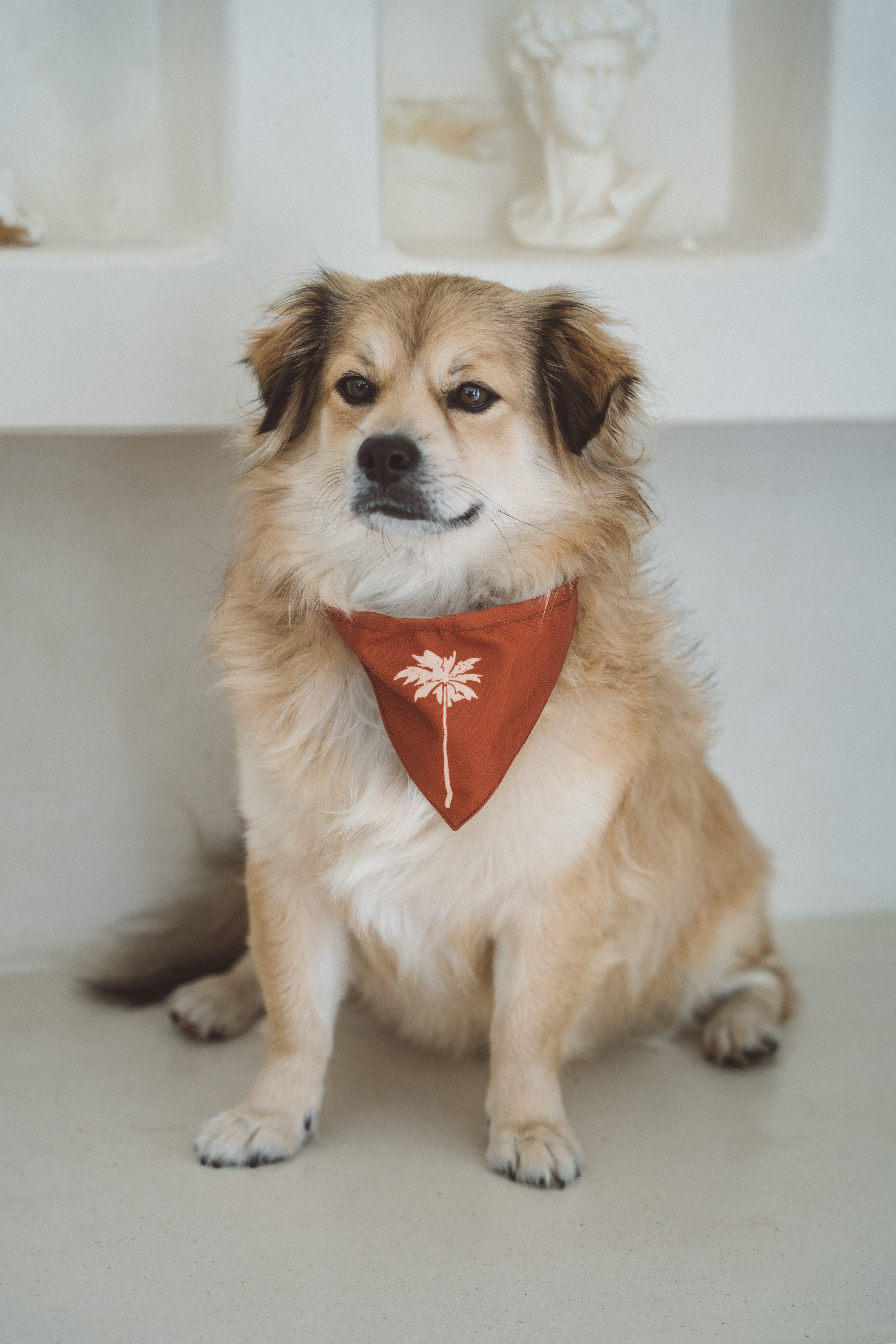 Dog wearing a red bandana with a yellow palm tree print