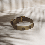 Halsband Ocean