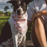 Bandana Ocean