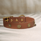 Halsband Zuma