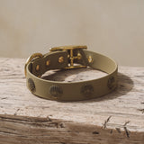 Halsband Ocean
