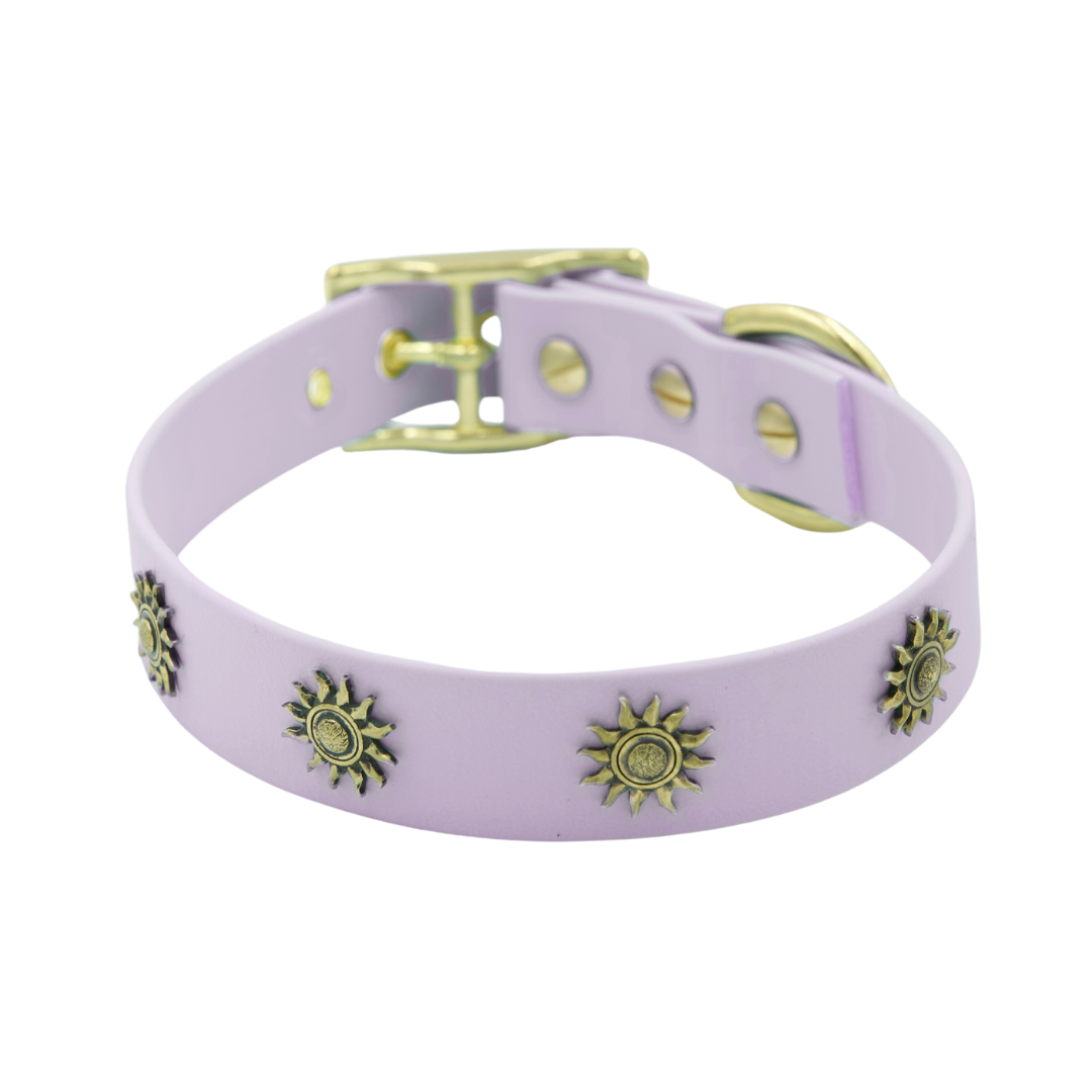 Halsband Zuma